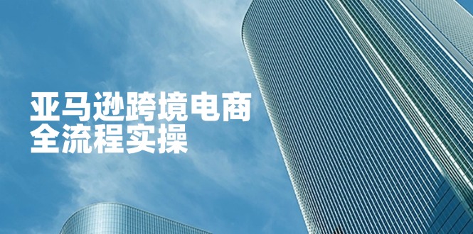 (14252期)亚马逊跨境电商全流程实操,教你从零开始,掌握店铺运营与广告技巧-爱尚学堂