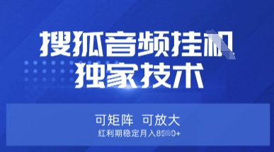 【搜狐音频挂G】独家技术,可矩阵可放大,红利期稳定月入8k【揭秘】-爱尚学堂